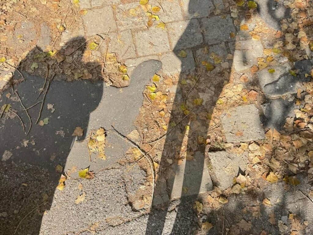 Ulica Józefa Sowińskiego w Lublinie. Nasłoneczniona nawierzchnia chodnika z dwoma wydłużonymi cieniami stojących osób. Chodnik pokrywają suche, żółtobrązowe liście. Widać liczne nierówności, popękane płyty i fragmenty asfaltu.