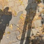 Ulica Józefa Sowińskiego w Lublinie. Nasłoneczniona nawierzchnia chodnika z dwoma wydłużonymi cieniami stojących osób. Chodnik pokrywają suche, żółtobrązowe liście. Widać liczne nierówności, popękane płyty i fragmenty asfaltu.