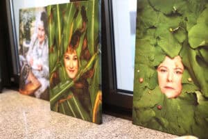 Zbliżenie na trzy wydruki zdjęć na płótnie, ustawione na szarym, nakrapianym parapecie. Na pierwszym planie widoczny jest portret kobiety, której twarz jest otoczona gęstymi, zielonymi liśćmi, na których pełza kilka małych ślimaków. Obok, w głębi, znajduje się portret kobiety częściowo zakrytej liśćmi kukurydzy oraz portret kobiety, utrzymany w jasnych barwach