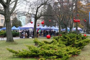 Szerokie ujęcie plenerowe. Duży teren zielony z drzewami bez liści i krzewami w jesienno-zimowych barwach. Na pierwszym planie, w centrum, widoczny jest duży krzew iglasty oraz trawa. W tle, pod drzewami, ustawiony jest długi szereg niebieskich namiotów kiermaszu. Na gałęziach drzew oraz na ziemi widoczne są duże, czerwone bombki dekoracyjne. Pomiędzy namiotami spacerują ludzie, a w tle widać fragmenty budynków uczelni.