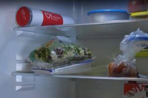 Wnętrze lodówki; na jednej z półek leży cylindryczne etui z oznaczeniami i logo "Paszport Życia"