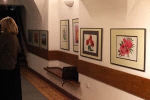 Perspektywa korytarza galerii o białych ścianach, na których wyeksponowano serię oprawionych grafik z motywami kwiatowymi. Na pierwszym planie widoczne są dwa obrazy: jeden z czerwonymi makami, drugi z różowymi piwoniami. Pod pracami biegnie długa, drewniana ława, na której w głębi stoi pozostawiona ciemna torebka. Po lewej stronie kadru widoczna jest tyłem sylwetka kobiety w brązowym swetrze, stojącej przy wejściu na schody.