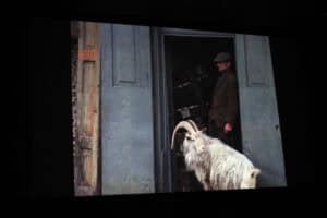 Kadr z filmu na ekranie kinowym. Przedstawia mężczyznę w kaszkiecie stojącego w ciemnym otworze drzwiowym starego budynku oraz stojącą przed drzwiami białego kozła z długimi, zakrzywionymi rogami.