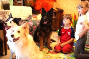 Dwoje dzieci siedzi na kolorowej macie w otoczeniu trzech psów: dwóch border collie i owczarka niemieckiego.