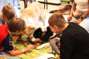 Dzieci obserwują dwa psy terapeutyczne rasy border collie w uprzężach. Psy próbują wydostać smakołyki z drewnianej zabawki edukacyjnej.