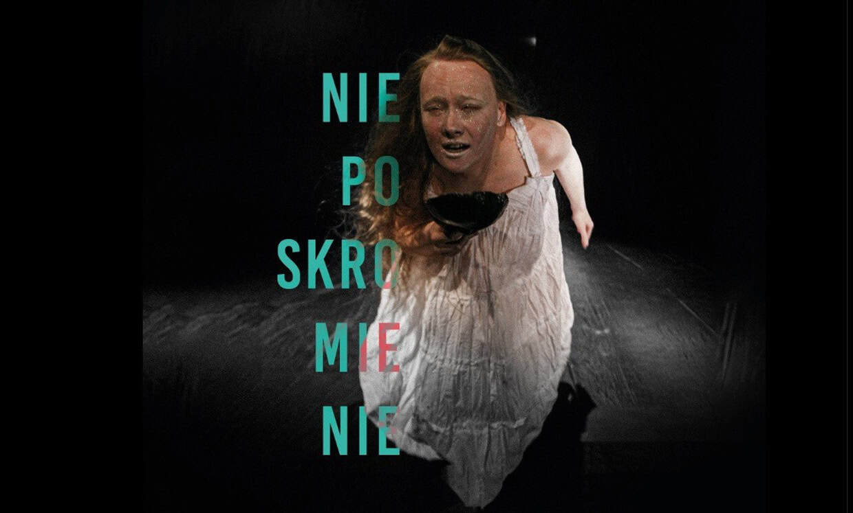 Zaproszenie na spotkanie integracyjne i spektakl „Nieposkromienie” w Lublinie