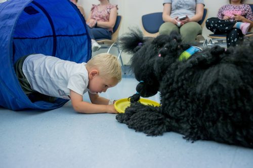 Chłopczyk wychodzi z niebieskiego tunelu i współdziała z dużym czarnym psem. Pies ma puszystą sierść i jest zaangażowany w interakcję z dzieckiem i pokazuje coś w żółtej misce. W tle widoczni są siedzący na krzesłach ludzi
